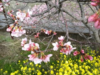 IMG_20180315_112701.jpg