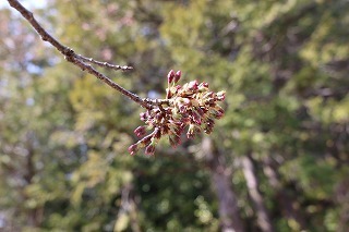 IMG_2994.jpg