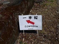 P1100148.jpg