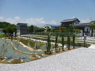P1100603.jpg