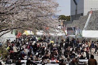 _MG_3060.jpg